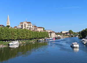 Traitement punaises de lit Saint-Étienne